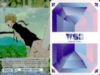 カード 文豪ストレイドッグス 文スト R レア まとめ 国木田独歩 ニコライ G 独歩吟客 外套 ヴァイスシュヴァルツブラウ キラ ヴァイス サムネイル 8