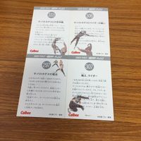 仮面ライダー カード まとめ 6 サムネイル 6