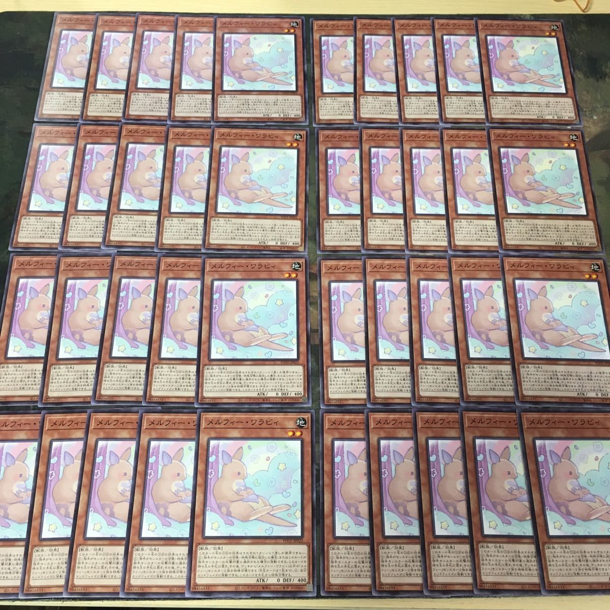 メルフィー・ワラビィ 型番統一 40枚 ノーマル POTE-JP022 遊戯王 まとめ