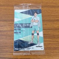 カード トレカ まとめ ハイキュー 日向 翔陽 影山 飛雄 12 サムネイル 10