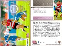 カード REAL VENUS リアルヴィーナス まとめ 山口真理恵 平田清乃 種田惠 本橋麻里 女性 アスリート BBM 2009