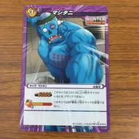 カード トレカ まとめ ミラクルバトルカードダス ミラバト ハンター ハンター 会長の面談 レオリオ マジタニ 35 サムネイル 9