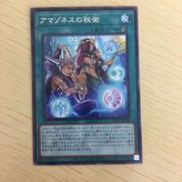 遊戯王 字レア カード トレーディングカード アマゾネスの秘術 まとめ サムネイル 3