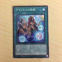 遊戯王 字レア カード トレーディングカード アマゾネスの秘術 まとめ サムネイル 4