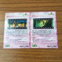 カード トレカ まとめ ファイナル ファンタジー FF 孤独な魂 時間圧縮 ダンスパーティー 暗黒の力 魔女のパレード 11 サムネイル 4