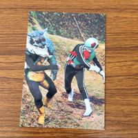 仮面ライダー カード まとめ 29 サムネイル 4