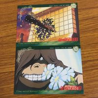 カード トレカ まとめ 銀河鉄道 999 メーテル 星野 鉄郎 13 サムネイル 5