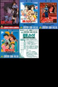 逮捕しちゃうぞ カード えもーしょん祭 藤島康介 アニメフェア SP 非売品 emotion まとめ キラ パズル サムネイル 1