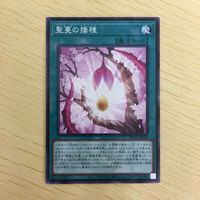 遊戯王 ノーマル カード トレーディングカード 聖蔓の播種 まとめ サムネイル 2