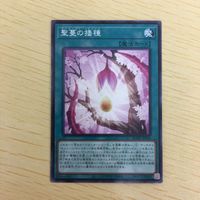 遊戯王 ノーマル カード トレーディングカード 聖蔓の播種 まとめ サムネイル 4