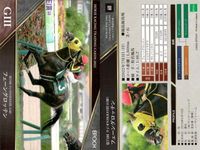 カード ホースレーシング まとめ ユニコーンライオン ヴェラアズール ビリーバー ホッコーメヴィウス セリフォス ソーヴァリアント フェーングロッテン テルツェット イクイノックス 競馬 馬 EPOCH 2020 サムネイル 8