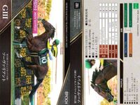 カード ホースレーシング まとめ ユニコーンライオン ヴェラアズール ビリーバー ホッコーメヴィウス セリフォス ソーヴァリアント フェーングロッテン テルツェット イクイノックス 競馬 馬 EPOCH 2020 サムネイル 7
