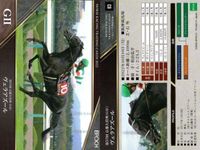 カード ホースレーシング まとめ ユニコーンライオン ヴェラアズール ビリーバー ホッコーメヴィウス セリフォス ソーヴァリアント フェーングロッテン テルツェット イクイノックス 競馬 馬 EPOCH 2020 サムネイル 3