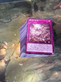 原石の号砲 100枚 型番統一 ノーマル まとめ 遊戯王 ROTA