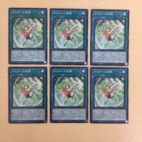 遊戯王 ノーマル カード トレーディングカード ガスタへの追風 まとめ サムネイル 1