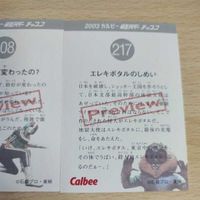 2003 カルビー 仮面ライダー チップス Preview プレビュー カード 217 308 トレカ 希少 まとめ サムネイル 3