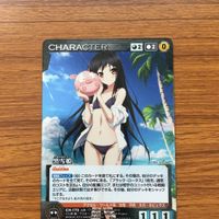 Accel World Card Lot Carddass Masters Japanese サムネイル 4
