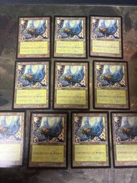 ウルザズ・サーガ 森/Forest 10枚 日本語版 JP 型番統ー まとめ MTG 人気絵柄 基本土地 大量 USG