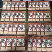 白き森のルシア 40枚 型番統一 遊戯王 まとめ ノーマル INFO