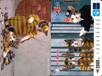 カード なめんなよ まとめ 猫 SATORU TSUDA 学生証 サムネイル 7