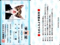 カード なめんなよ まとめ 猫 SATORU TSUDA 学生証 サムネイル 2