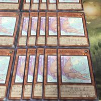 メルフィー・ワラビィ 型番統一 40枚 ノーマル POTE-JP022 遊戯王 まとめ サムネイル 5