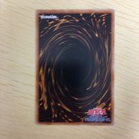 遊戯王 ノーマル カード トレーディングカード 聖刻龍ーシユウドラゴン まとめ サムネイル 9