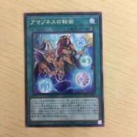 遊戯王 字レア カード トレーディングカード アマゾネスの秘術 まとめ サムネイル 3