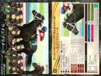 カード ホースレーシング まとめ サトノノブレス バウンスシャッセ ビービーバーレル クリプトグラム チェッキーノ サンケイスニ マカヒキ スマートレイアーサンケイ ゴールドアクター ウインプリメーラ 競馬 馬 EPOCH 2017 サムネイル 10