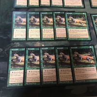 緑 型番統一 30枚 ルートワラ Rootwalla MTG 旧枠 TMP テンペスト まとめ 日本語 英語版 JP EN サムネイル 4
