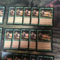 緑 型番統一 30枚 ルートワラ Rootwalla MTG 旧枠 TMP テンペスト まとめ 日本語 英語版 JP EN サムネイル 3