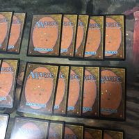 緑 型番統一 30枚 ルートワラ Rootwalla MTG 旧枠 TMP テンペスト まとめ 日本語 英語版 JP EN サムネイル 8