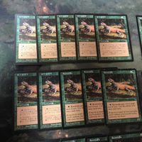 緑 型番統一 30枚 ルートワラ Rootwalla MTG 旧枠 TMP テンペスト まとめ 日本語 英語版 JP EN サムネイル 2