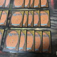 緑 型番統一 30枚 ルートワラ Rootwalla MTG 旧枠 TMP テンペスト まとめ 日本語 英語版 JP EN サムネイル 10