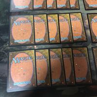 緑 型番統一 30枚 ルートワラ Rootwalla MTG 旧枠 TMP テンペスト まとめ 日本語 英語版 JP EN サムネイル 9