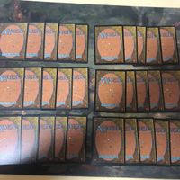 緑 型番統一 30枚 ルートワラ Rootwalla MTG 旧枠 TMP テンペスト まとめ 日本語 英語版 JP EN サムネイル 6