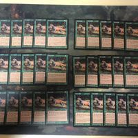 緑 型番統一 30枚 ルートワラ Rootwalla MTG 旧枠 TMP テンペスト まとめ 日本語 英語版 JP EN