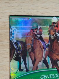 【菊花賞】ジェンティルドンナ オーナーズホース 競馬 カード サムネイル 2