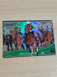 【菊花賞】ジェンティルドンナ オーナーズホース 競馬 カード サムネイル 1