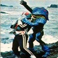 【状態C-D】237 198 240 219 仮面ライダー 旧カルビー 他27局 カード まとめ サムネイル 6