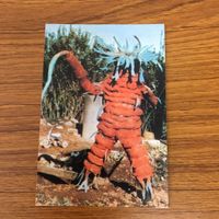 Kamen Rider Card Lot Bundle Japanese Vintage Anime サムネイル 3