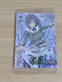 未開封 閃乱カグラ カード YUMI 雪泉