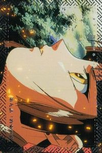 カード 吸血姫美夕 垣野内成美コレクション 絵巻 箔押し 75 第九話 約束の沼 ヴァンパイア ミユ アニメ版 ブロッコリー アニメ 美少女