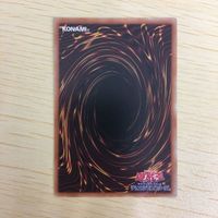 遊戯王 ノーマル カード トレーディングカード らくがきじゅうーすてご まとめ サムネイル 6