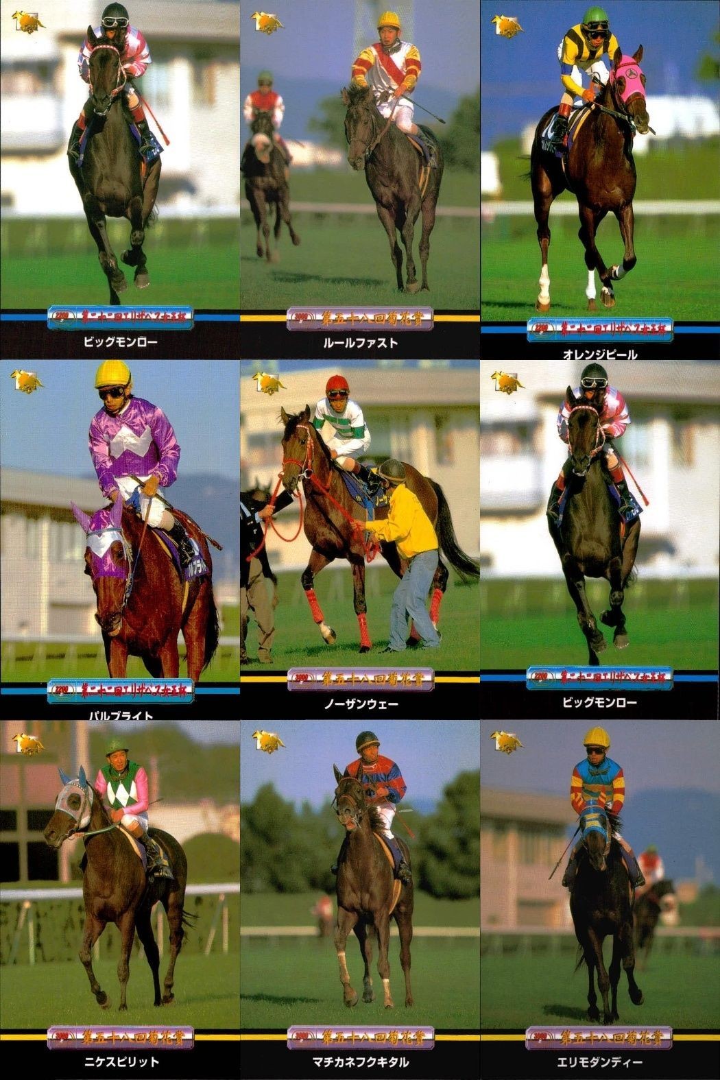 競馬 カード ホースレーシング まとめ ビッグモンロー ルールファスト オレンジピール パルブライト ノーザンウェー ビッグモンロー ニケスピリット マチカネフクキタル エリモダンディー バンダイ