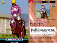 競馬 カード ホースレーシング まとめ ビッグモンロー ルールファスト オレンジピール パルブライト ノーザンウェー ビッグモンロー ニケスピリット マチカネフクキタル エリモダンディー バンダイ サムネイル 5
