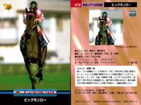 競馬 カード ホースレーシング まとめ ビッグモンロー ルールファスト オレンジピール パルブライト ノーザンウェー ビッグモンロー ニケスピリット マチカネフクキタル エリモダンディー バンダイ サムネイル 7