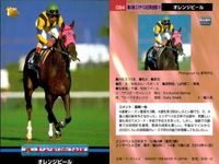 競馬 カード ホースレーシング まとめ ビッグモンロー ルールファスト オレンジピール パルブライト ノーザンウェー ビッグモンロー ニケスピリット マチカネフクキタル エリモダンディー バンダイ サムネイル 4