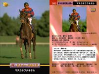 競馬 カード ホースレーシング まとめ ビッグモンロー ルールファスト オレンジピール パルブライト ノーザンウェー ビッグモンロー ニケスピリット マチカネフクキタル エリモダンディー バンダイ サムネイル 9