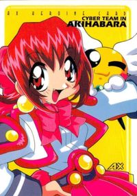 カード アキハバラ電脳組 非売品 AX PREMIUM
